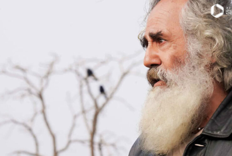 مجید موزافاری مکان بحرام بیضری در سینما خالی است