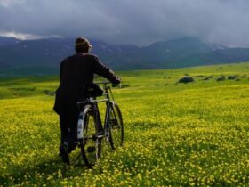 معضل به نام اجاق گاز کور در روستاهای نامعتبر