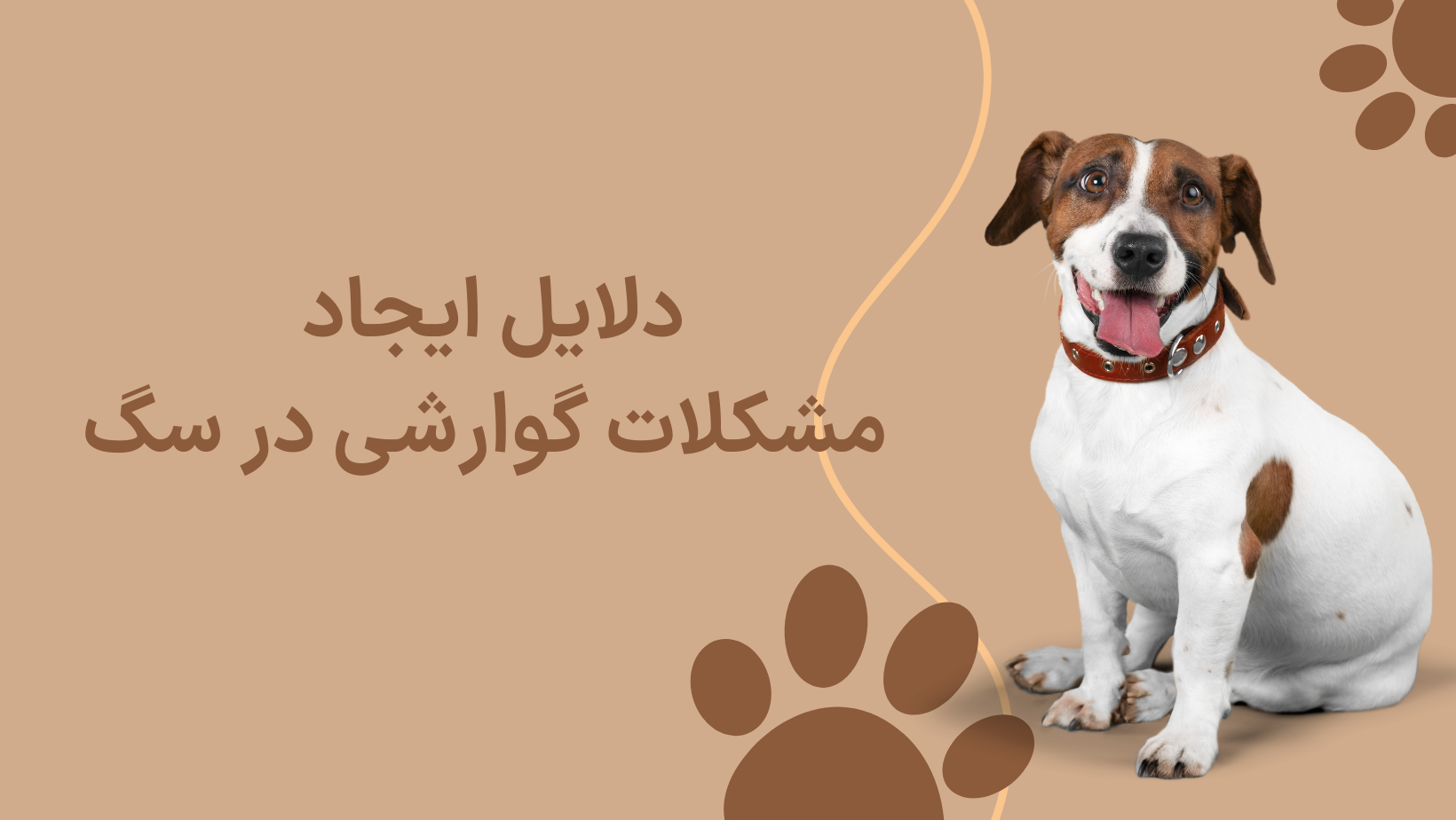 مشکلات گوارشی Dogin ؛ علل و درمان