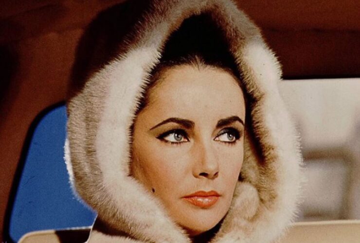 صفحه شما که می خواستید پیدا نشد. 3 صفحه شما که می خواستید پیدا نشد.