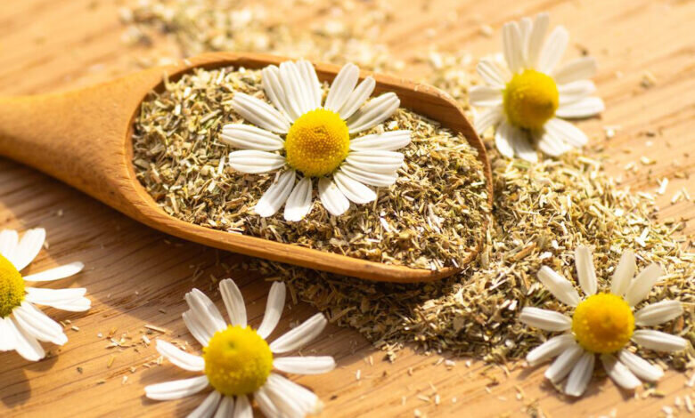 خواص دیزی و دموی آن نباید دیزی بخورد؟