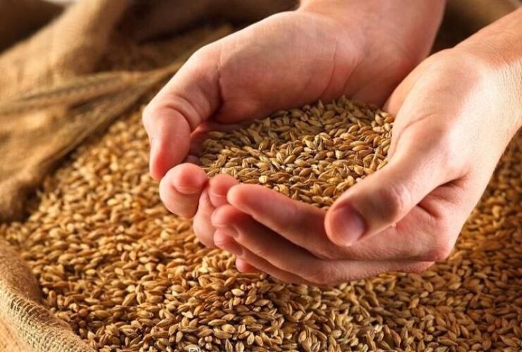 FITR 2 ، به گفته رهبر عالی و برخی از