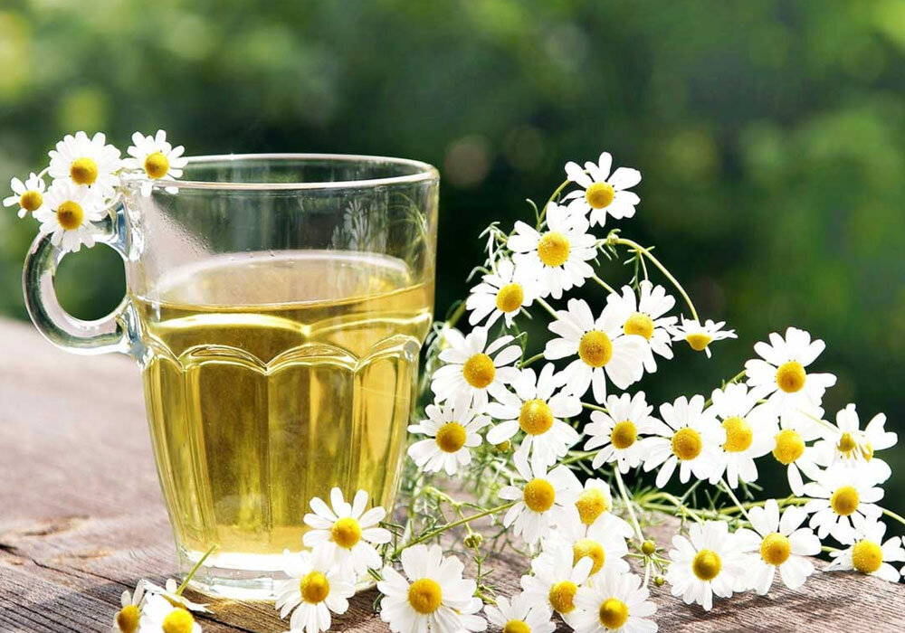 خواص دیزی و دموی آن نباید دیزی بخورد؟
