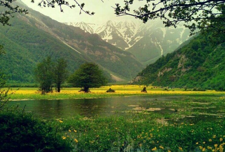 دشت نقشه بردار Tonekabon