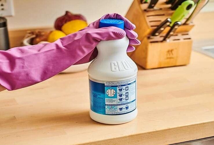 چگونه می توانم از بوی بد Vitex در خانه خلاص