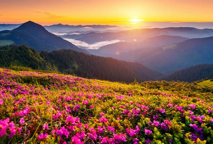 از Tafali تا Hafiz در چهارشنبه 23 آوریل ؛ صبح و ژله از ابر بهمن بیرون می آید ...