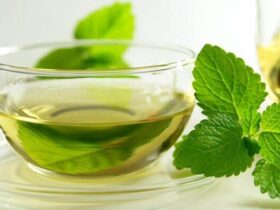 ویژگی های عرق نعناع و نعناع در طب سنتی