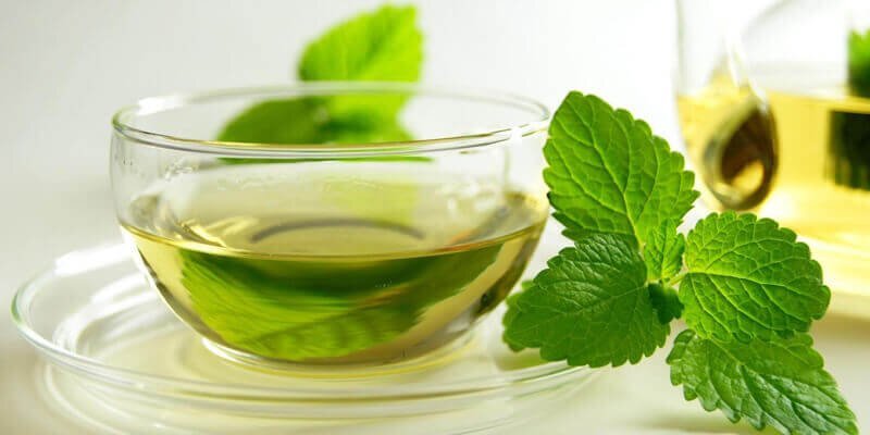 ویژگی های عرق نعناع و نعناع در طب سنتی
