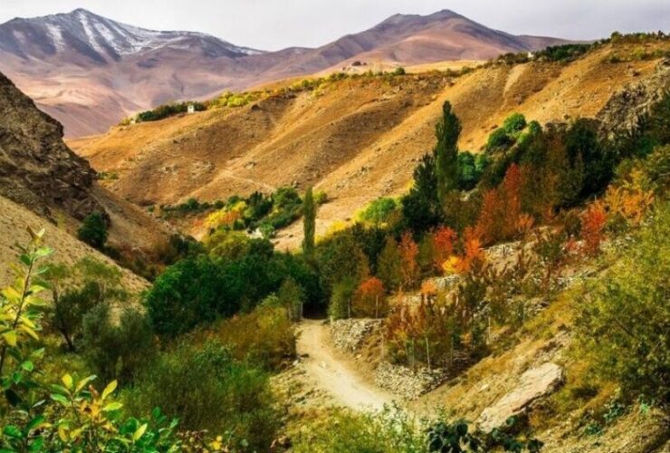گشت و گذار به شرکت بهار تهران ؛ سفر یک روزه به قلب بهار