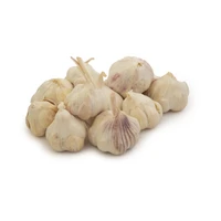 ۱۴ روش طعم و مزه ماهی 12 مقدار سیر خشک تازه 500 گرم است