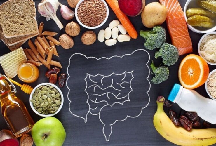 غذاهای مضر برای سلامت روده