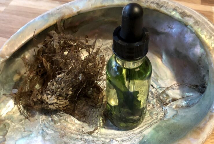 آیا روغن جلبک برای غذا خوردن سالم است؟ 17 آیا روغن جلبک برای غذا خوردن سالم است؟