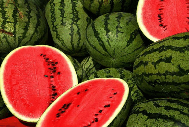 برای دیدن چگونه هندوانه را برای فروش نقاشی کنیم!