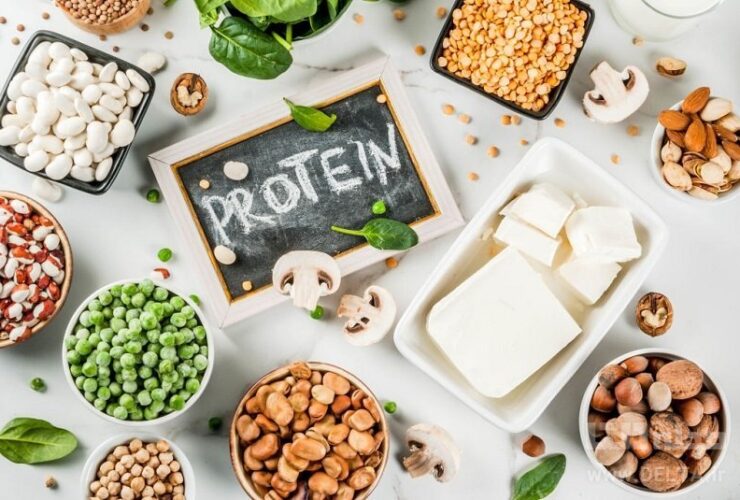 کدام غذاها پروتئین بیشتری نسبت به تخم مرغ دارند؟