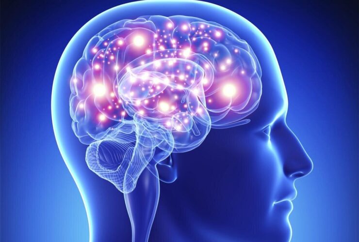 غذاهایی که عملکرد مغز را مختل می کنند