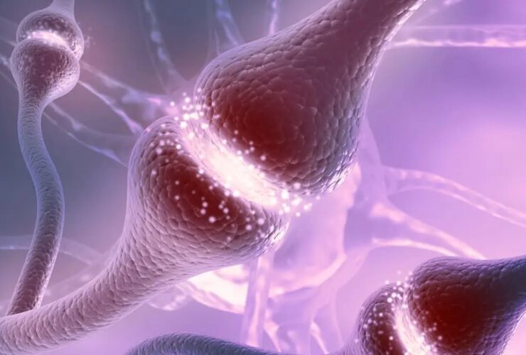 ارتباطات غیر منتظره: فشار خون چگونه بر خطر زوال عقل تأثیر می گذارد؟ / ترجمه