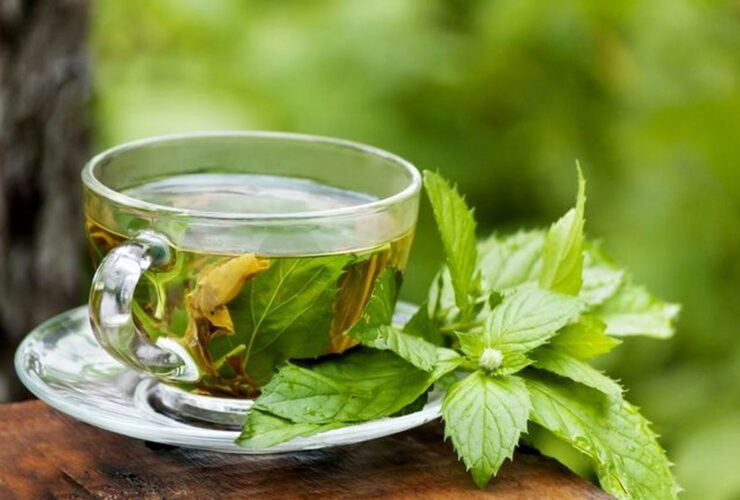 درمان التهاب معده با این داروی گیاهی 13 درمان التهاب معده با این داروی گیاهی