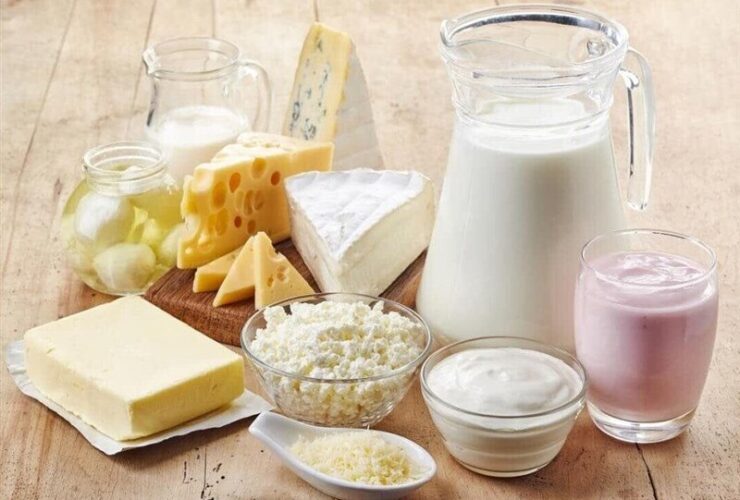 برای تعادل در کاهش مصرف ، باید ارزش شیر محصولات لبنی را افزایش دهید.