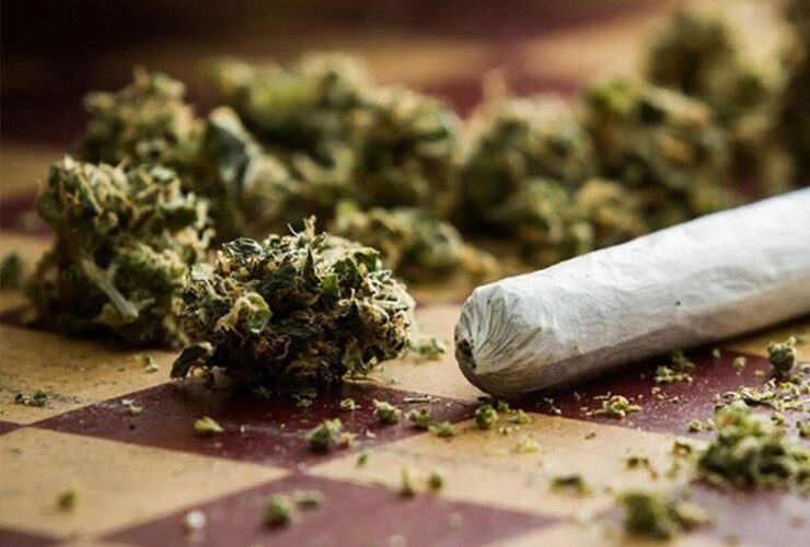 این دارو خطرناک تر از گل است 24 bato-adv