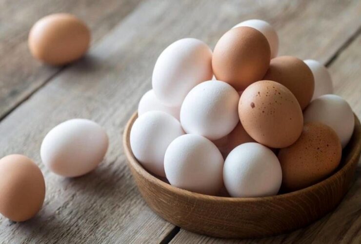 ببینید؛ مصرف روزانه تخم‌مرغ؛ خوب یا بد؟
