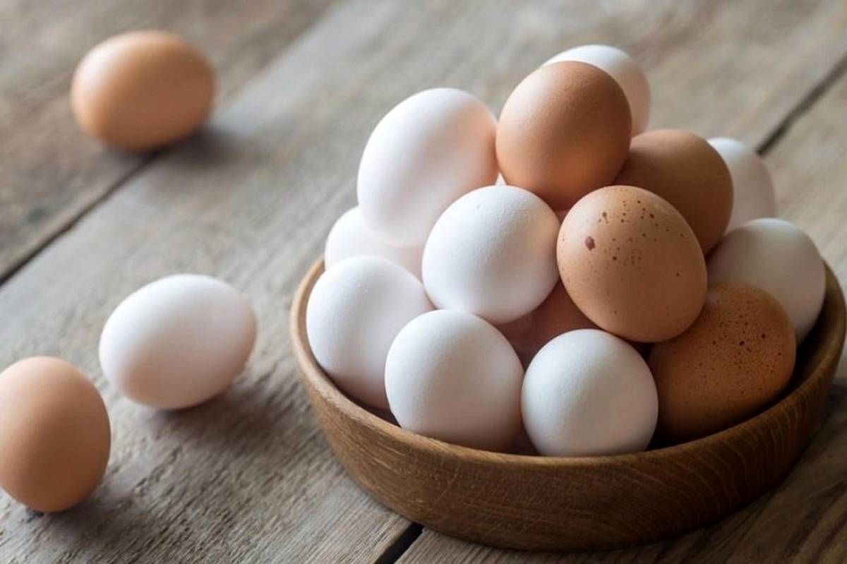 ببینید؛ مصرف روزانه تخم‌مرغ؛ خوب یا بد؟