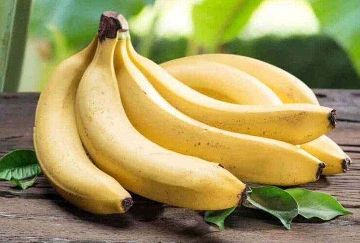میوه‌ای که مصرف آن چشم‌ها را تقویت می‌کند
