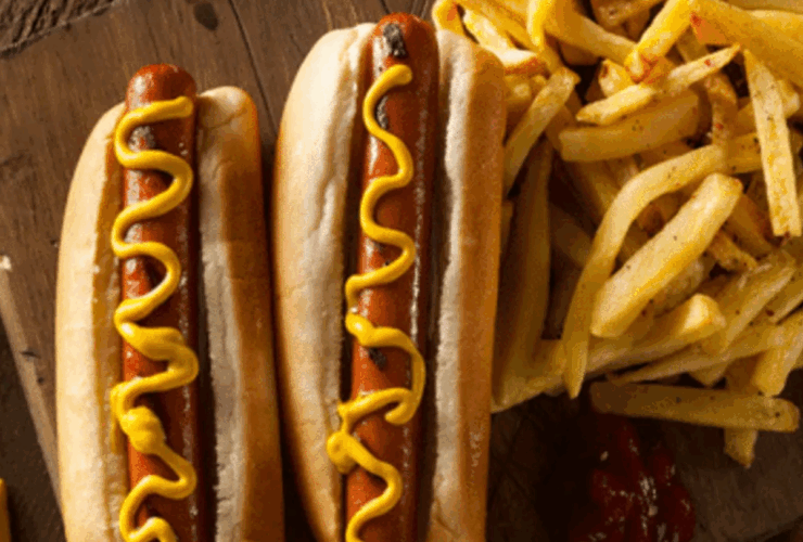 چگونه یک سگ مرغ خانگی درست کنیم 36 bato-adv