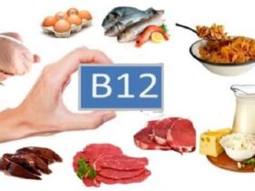 مواد مغذی زیاد در ویتامین B چیست؟