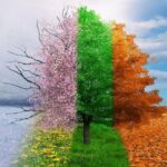 خلق و خوی ؛ دانش طبیعت برای محافظت از سلامتی