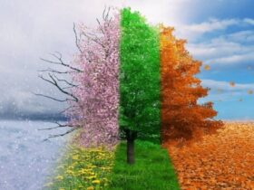 خلق و خوی ؛ دانش طبیعت برای محافظت از سلامتی