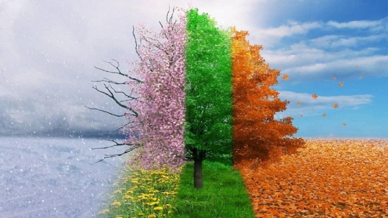 خلق و خوی ؛ دانش طبیعت برای محافظت از سلامتی