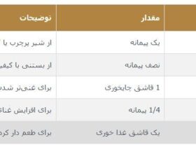 نحوه ساخت مدرسه شیر تابستانی با طعم کارامل