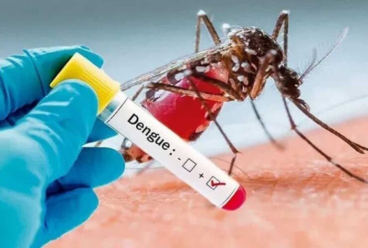 تشخیص ؛ با آتش سوزی از ابتدای سال