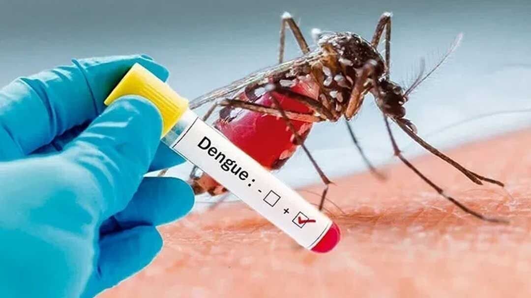 تشخیص ؛ با آتش سوزی از ابتدای سال