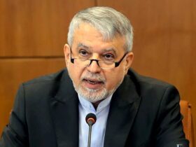 افزایش 5 درصدی گردشگران ایرانی پس از فسخ ویزا