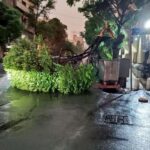 افزایش مرگ و میر طوفان تهران