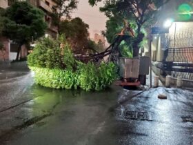 افزایش مرگ و میر طوفان تهران