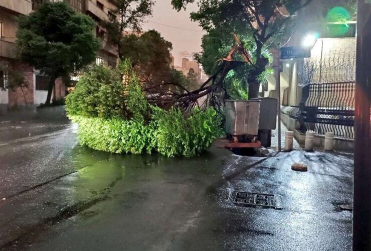 افزایش مرگ و میر طوفان تهران