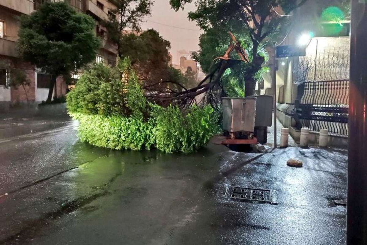 افزایش مرگ و میر طوفان تهران