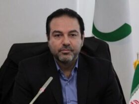 5 ٪ در برخی از استانها / هدف قرار دادن مرگ مادران باردار