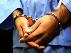 دستگیری آتش سوزی اتومبیل شخصی در بوشر