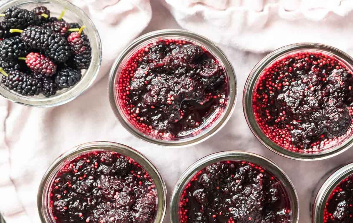 چگونه مربای توت سیاه درست کنیم