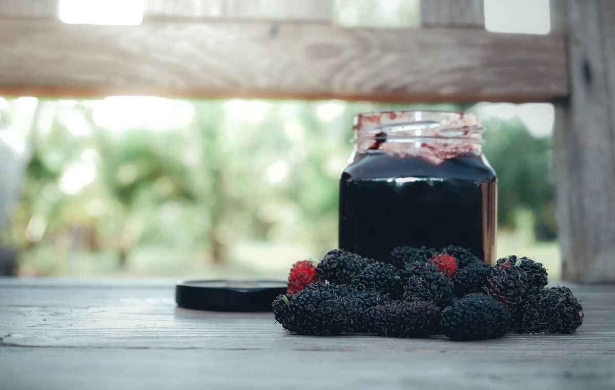 چگونه مربای توت سیاه درست کنیم
