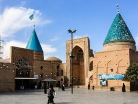 سفر به گشت و گذار در قاره/ جنگل کوچک و یک زیستگاه فنات به هک مقبره عرفانی