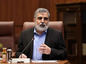 کمالواندی: ایران تنها کشوری نیست که غنی می شود و سلاح هسته ای ندارد