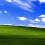 سرنوشت غم انگیز از پس زمینه معروف ویندوز XP