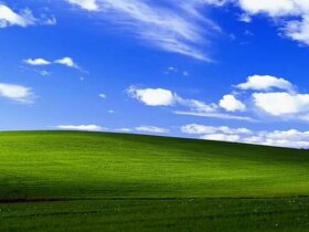 سرنوشت غم انگیز از پس زمینه معروف ویندوز XP