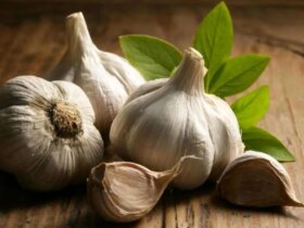 این گیاه ضد ویروس
