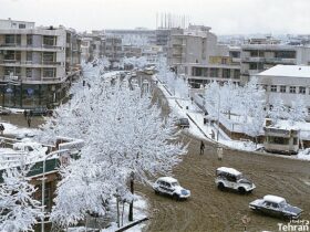 کدام محله اقتدار شیعه جهان را می نامد؟