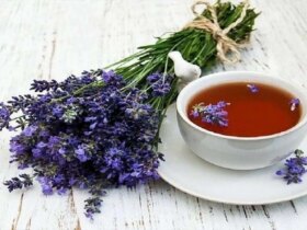 این داروی گیاهی فشار خون را کنترل می کند